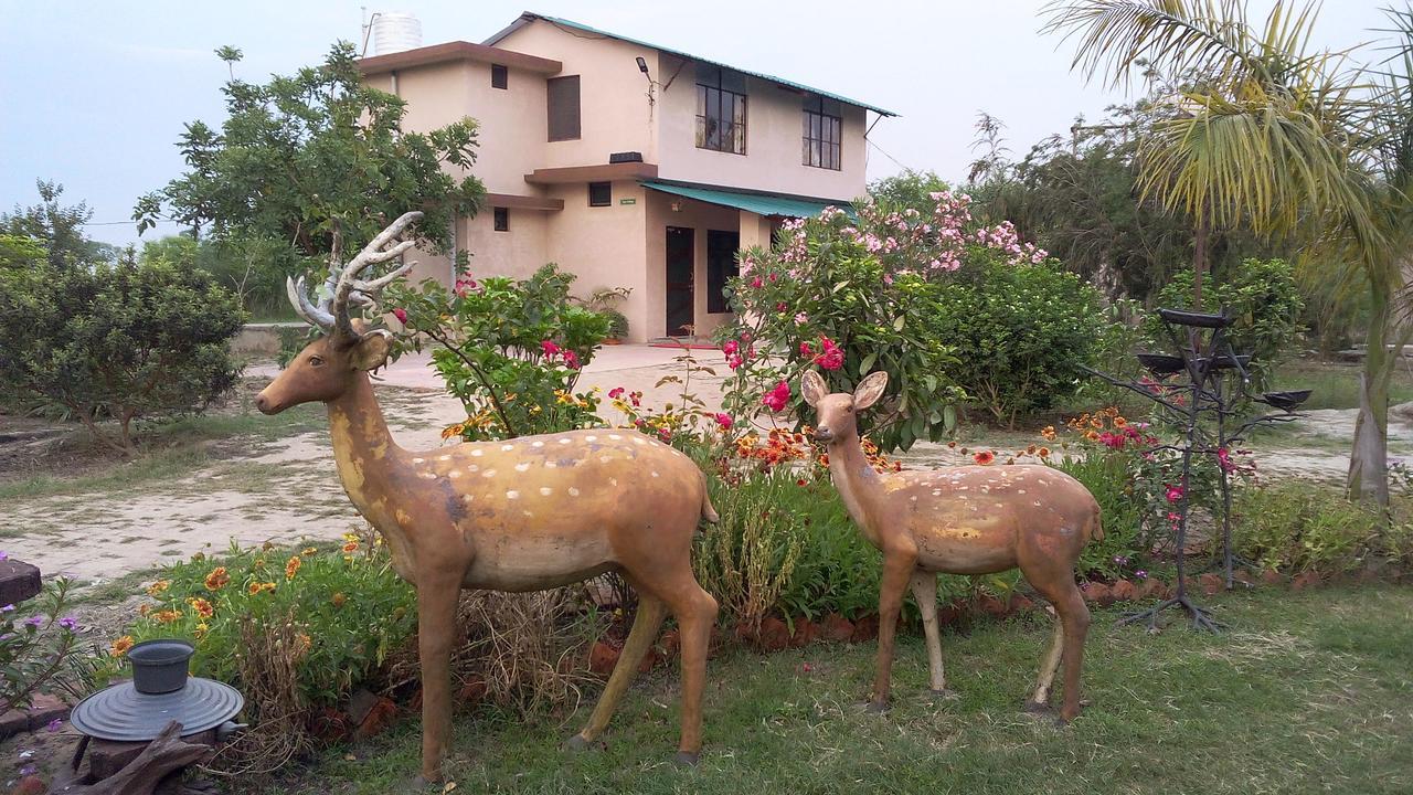 V Resorts Dudhwa Wilderness Camp Lakhimpur Eksteriør bilde